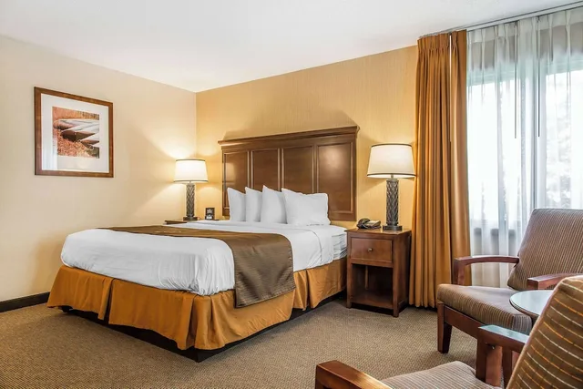 Superior, King Bed, The Black Swan Lee Lenox An Ascend Collection Hotel 5/10