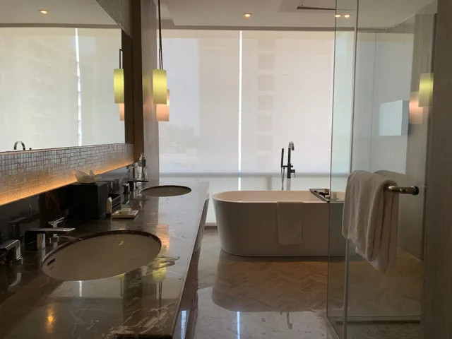 Diplomat, Spa, Suite, King Bed، Hyatt Regency Ahmedabad 4/4