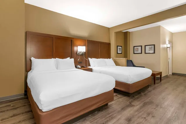 جناح بسريرين كوين، Comfort Suites At The University 2/4
