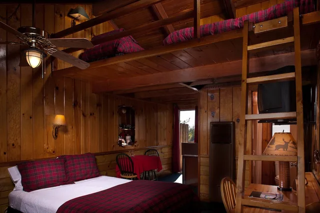 لوفت قياسي بسرير كوين وسرير فردي، Idyllwild Bunkhouse 1/1