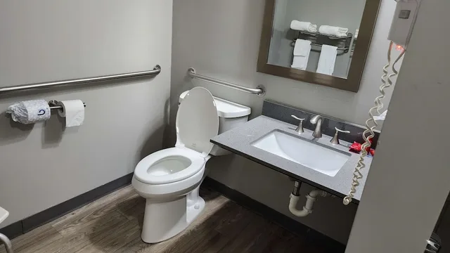 غرفة قياسية بسرير كينج لذوي الإعاقة، SureStay Plus Hotel by Best Western Sevierville 5/8