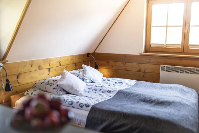 1 Bedroom, Comfort, Double Bed, Mountain View, Kitchenette, Willa Leluja 3/6