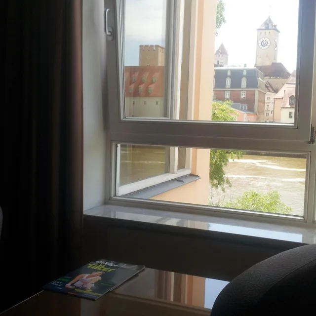 غرفة كومفورت بسرير كينج بإطلالة على النهر، Sorat Insel-Hotel Regensburg 9/9