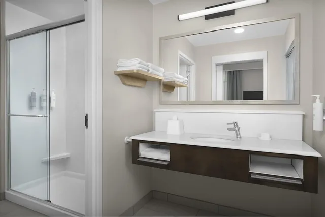 استوديو بسرير كينج مع أريكة لذوي الإعاقة، Hampton Inn Suites Charlotte Ballantyne Nc 4/7