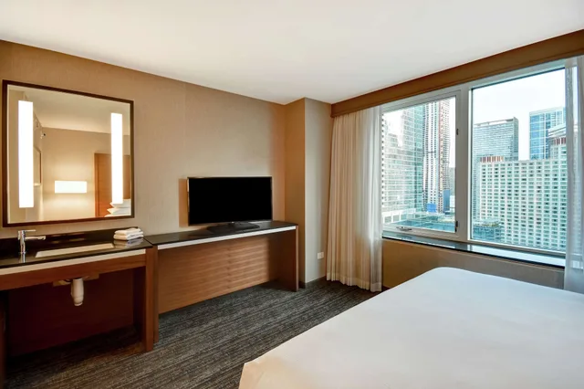 جناح أساسي بسرير كينج مع أريكة، Embassy Suites by Hilton Chicago Downtown Magnificent Mile 6/9