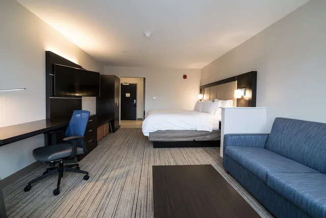 غرفة قياسية بسرير كينج مع أريكة، Holiday Inn Express Suites Allen Park 1/4