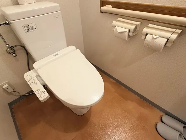 غرفة بريميير بسريرين منفصلين بإطلالة على الجبل بحمام خاص، SPA & HOTEL RESORT Furano Laterre 6/6