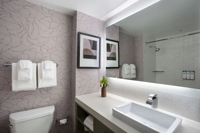 1 Bedroom, Suite, King Bed, Sofa, Kitchenette, Hyatt Washington DC / Convention Center 5/5