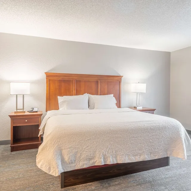 جناح استوديو بسرير كينج مع أريكة، Hampton Inn Gainesville FL 1/1