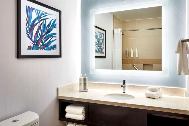 غرفة بريميوم بسرير كينج بإطلالة على المسبح بشرفة، Hilton Garden Inn Valencia Six Flags 2/2