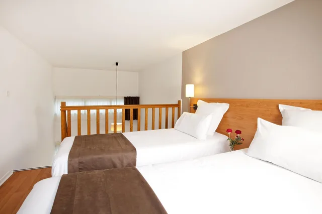 دوبلكس، Sajours Affaires Nantes Ducs de Bretagne 1/6