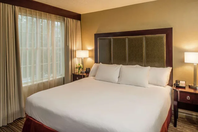 جناح بسرير كينج بإطلالة على الفناء بغرفة نوم واحدة، Doubletree by Hilton Raleigh Durham Airport at Research Triangle Park 1/2