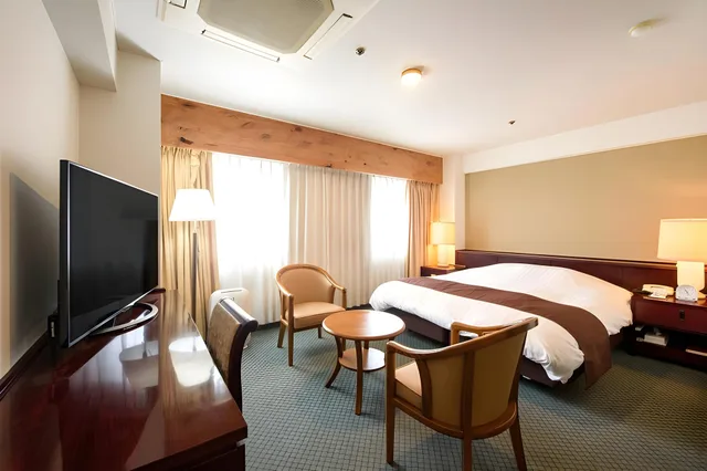 غرفة ديلوكس بسرير مزدوج، OITA CENTURY HOTEL 1/1
