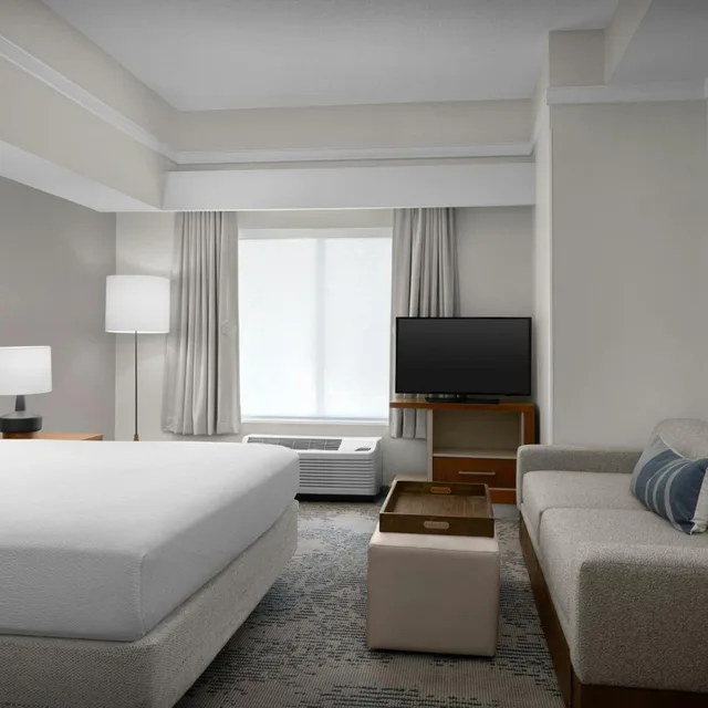 جناح بسرير كينج مع سرير سحّاب إضافي مع أريكة، Springhill Suites By Marriott Lynchburg Airport/University Area 2/5