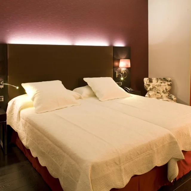 غرفة سوبيريور بسرير كينج، Hotel Boutique Gareus 2/6