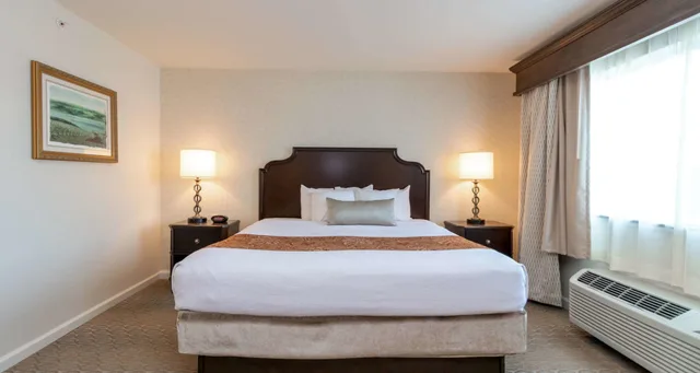 جناح ديلوكس بسرير كينج مع أريكة، Best Western Plus Vineyard Inn & Suites 1/10