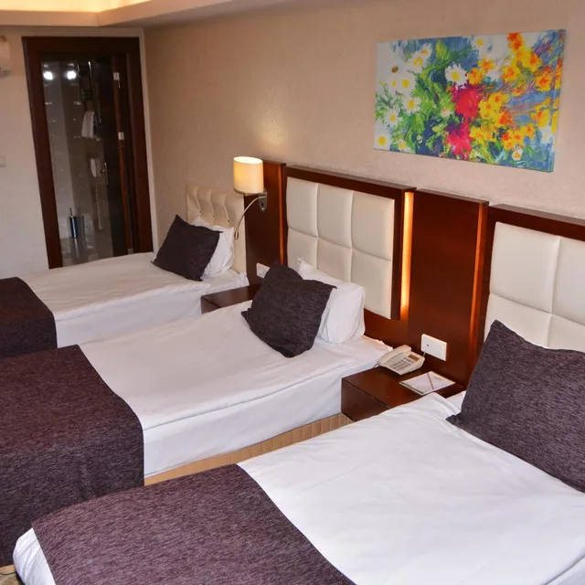 Room, Triple, ASRIN BUSINESS HOTEL 4/10