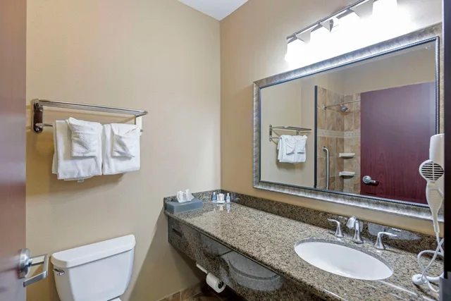جناح بسرير كينج لذوي الإعاقة، Comfort Inn and Suites Fort Worth Fossil Creek 3/3