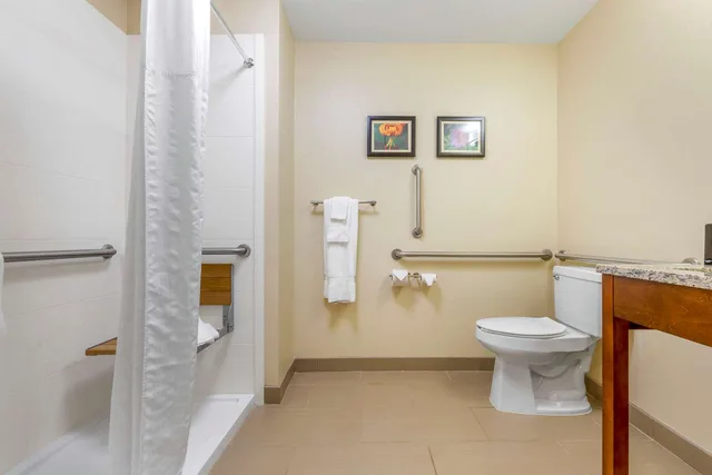 غرفة بسرير كينج لذوي الإعاقة، Comfort Inn & Suites Lenoir Hwy 321 Northern Foothills 5/5