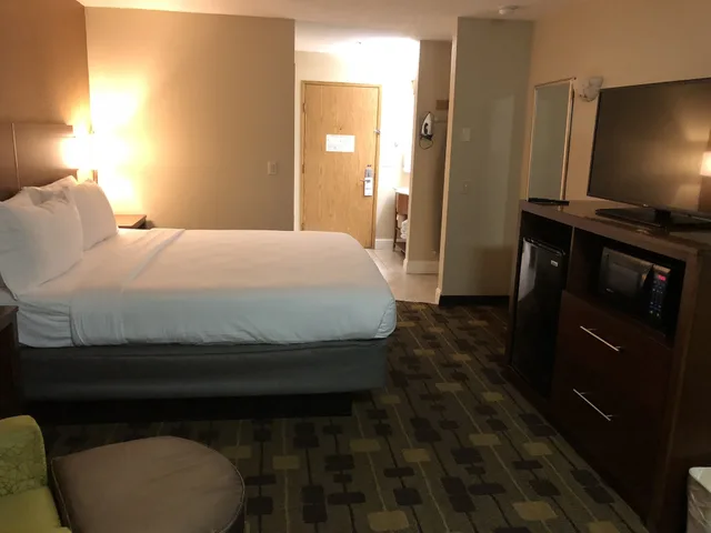 Standard, King Bed, Holiday Inn Express Hotel & Suites Corning 3/3
