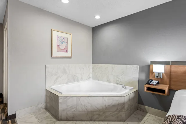 Deluxe, Studio, Suite, King Bed, Microtel Inn & Suites by Wyndham Statesville 4/7
