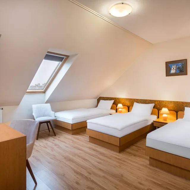 غرفة قياسية بسرير فردي، Platan Hotel 4/7