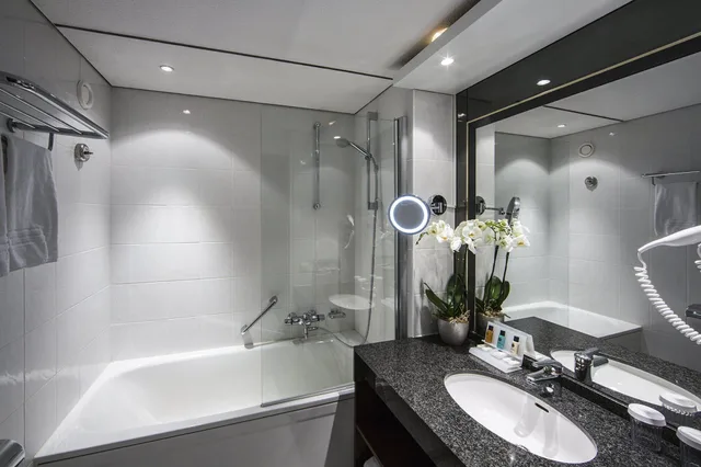 جناح جونيور بسرير كينج، Crowne Plaza Maastricht 3/3