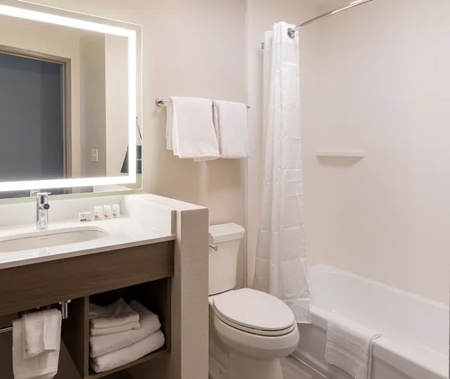 غرفة بريميوم بسرير فردي، Holiday Inn Express & Suites Englewood - Denver South 1/3