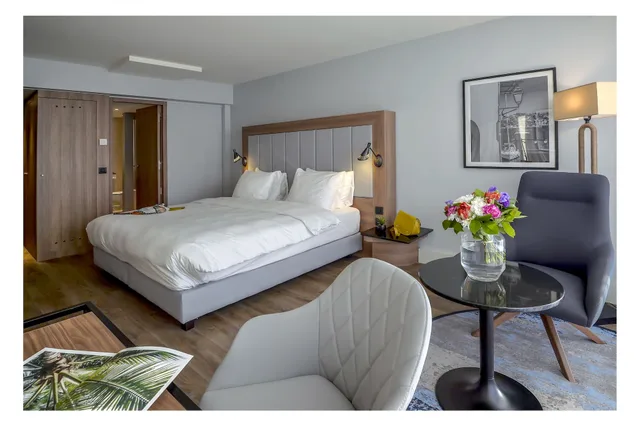 غرفة سوبيريور بسرير كينج، RADISSON BLU NICE 3/9