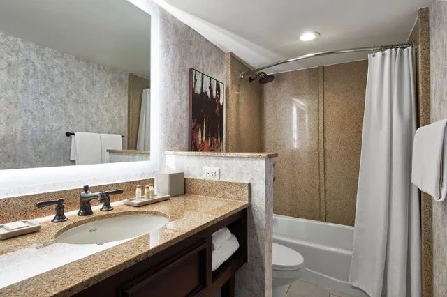غرفة بسرير مزدوج لذوي الإعاقة، Renaissance Mobile Riverview Plaza Hotel 3/4