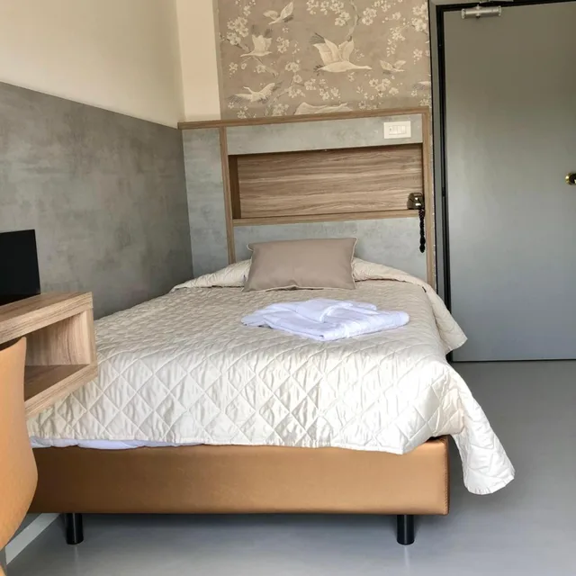 غرفة ديلوكس مفردة بإطلالة على البحر، Hotel Maestri 4/8