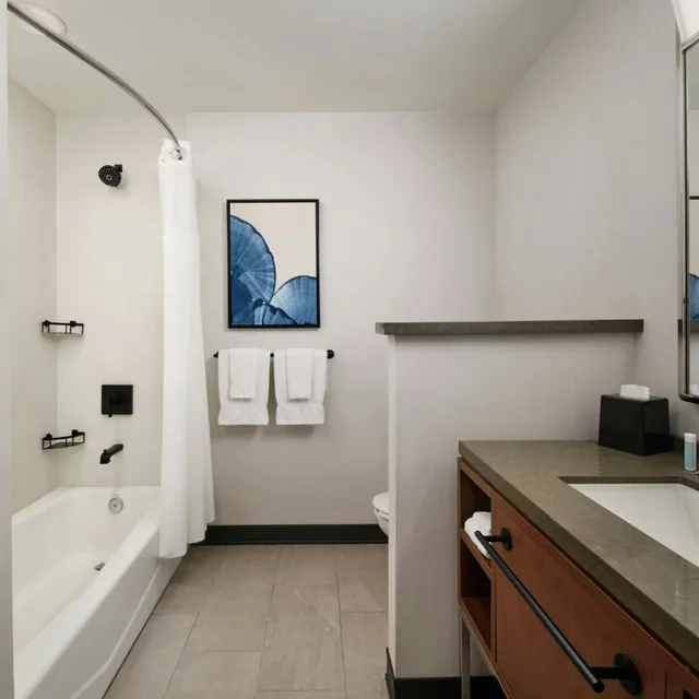 غرفة بسرير كينج بحوض استحمام لذوي الإعاقة، Courtyard By Marriott San Luis Obispo 6/6