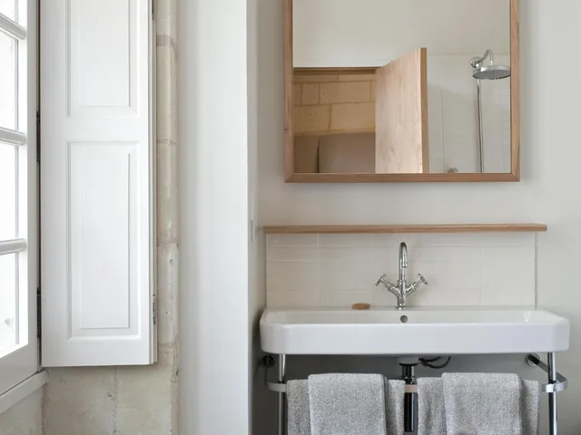 جناح، Fontevraud L Ermitage 1/1