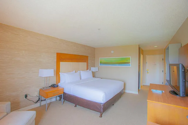 غرفة بغرفة نوم واحدة، Holiday Inn & Suites Spring - the Woodlands Area, an IHG Hotel 2/2