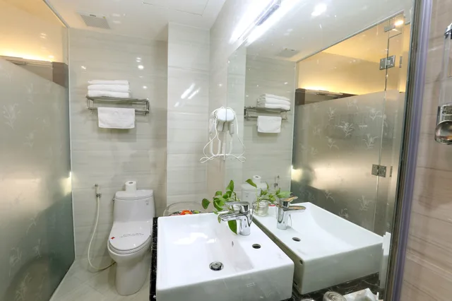 Deluxe, Queen Bed, Street View، Prague Hotel 2/2