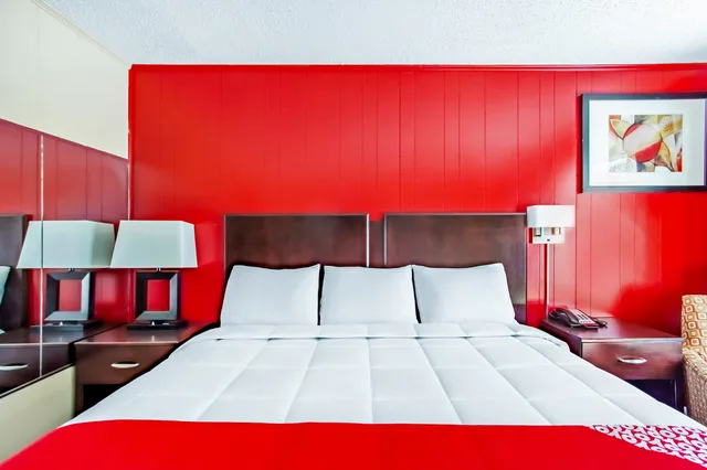 King Bed, OYO Hotel Ridgeland East 3/5