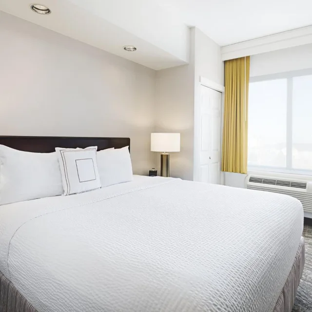 جناح بسرير كينج مع سرير سحّاب إضافي مع أريكة، Springhill Suites Denver Airport 1/5