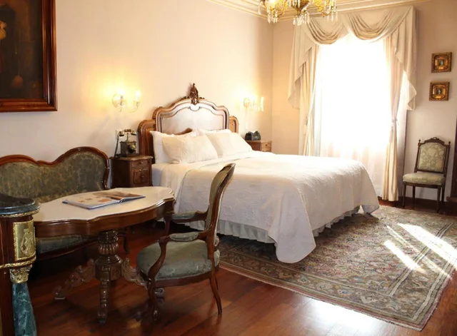 جناح سوبيريور، Museo Palacio de San Agustin 4/9