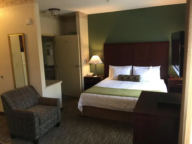 Suite, King Bed, Sofa, Kitchen, Hawthorn Suites by Wyndham Rancho Cordova/Folsom 7/10