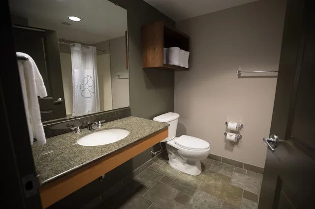 Junior Suite, Studio, Queen Bed, Sofa، Great Wolf Lodge Bloomington 4/4