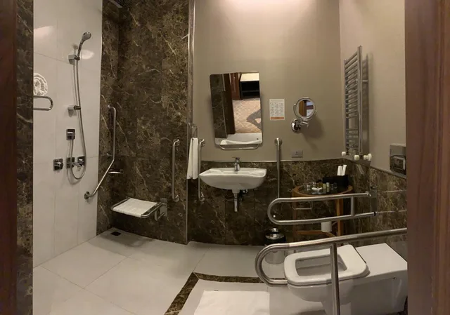 غرفة بسرير مزدوج لذوي الإعاقة، Borjomi Likani Hotel, Borjomi 6/9