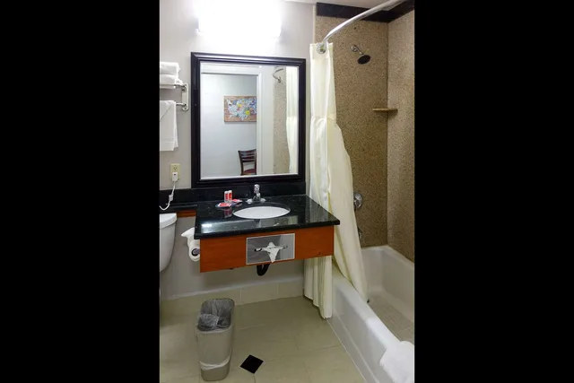 غرفة بسريرين مزدوجين، Brisa Pacifica Hotel Encinitas 5/5