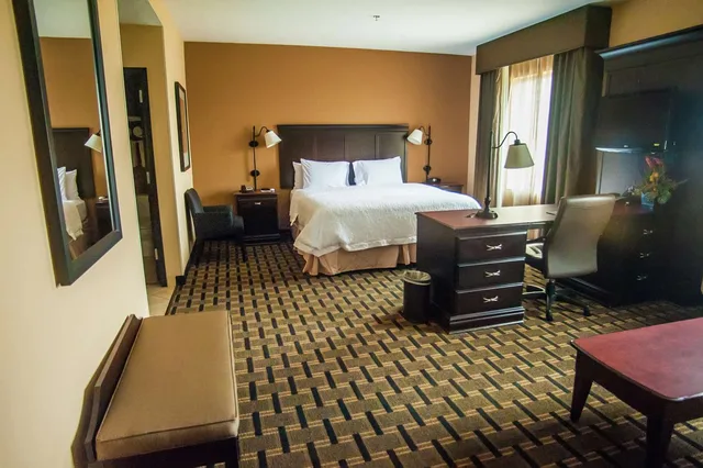 جناح استوديو بسرير كينج مع أريكة، Hampton Inn & Suites Palestine 1/1