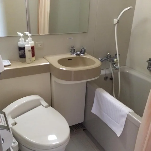 غرفة بسريرين منفصلين، Hotel Crown Hills Takaoka 5/5