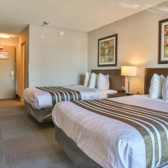 Room, Double Bed, Accessible, Best Western Brantford Hotel Conference Centre 3/10