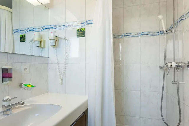 Alpine, Single، Hotel Jaegerhof 5/12