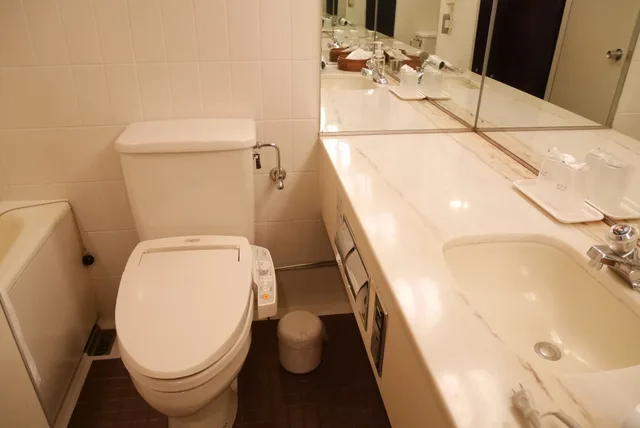 غرفة سوبيريور بسريرين منفصلين، Rose Hotel Yokohama, WorldHotels Distinctive 5/8