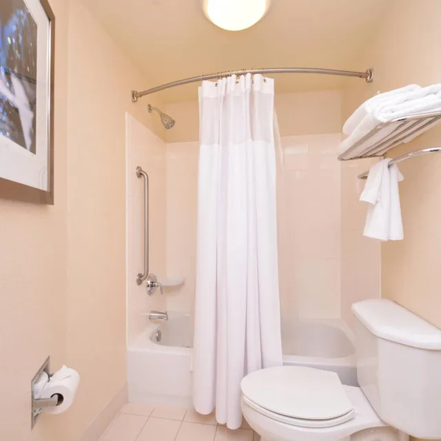 جناح كبير بسرير كينج مع أريكة، Springhill Suites By Marriott Arundel Mills Bwi Airport 3/3