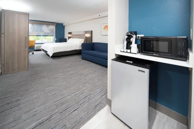 غرفة بسرير كينج مع أريكة لذوي الإعاقة، Holiday Inn Express Hotel Suites Atlanta Johns Creek 8/8
