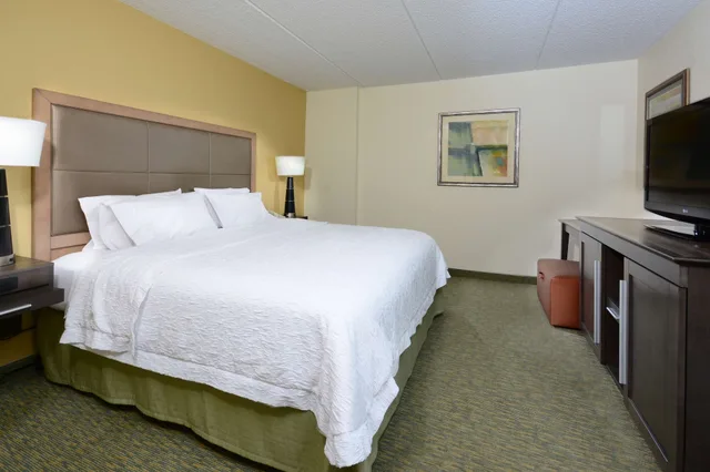 جناح بسرير كينج مع أريكة، Hampton Inn Raleightown of Wake Forest 1/1